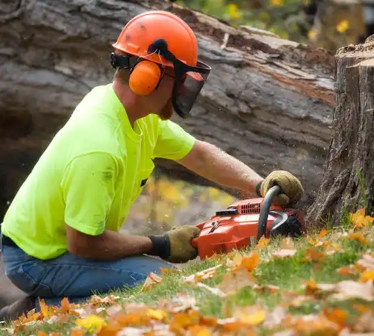 tree services Wright City